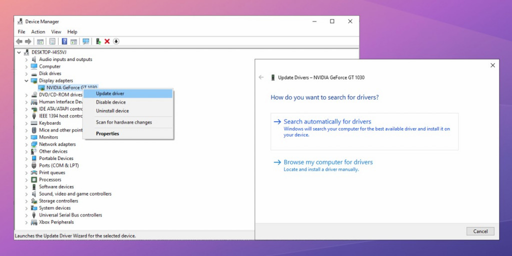 Windows Device Manager driver update