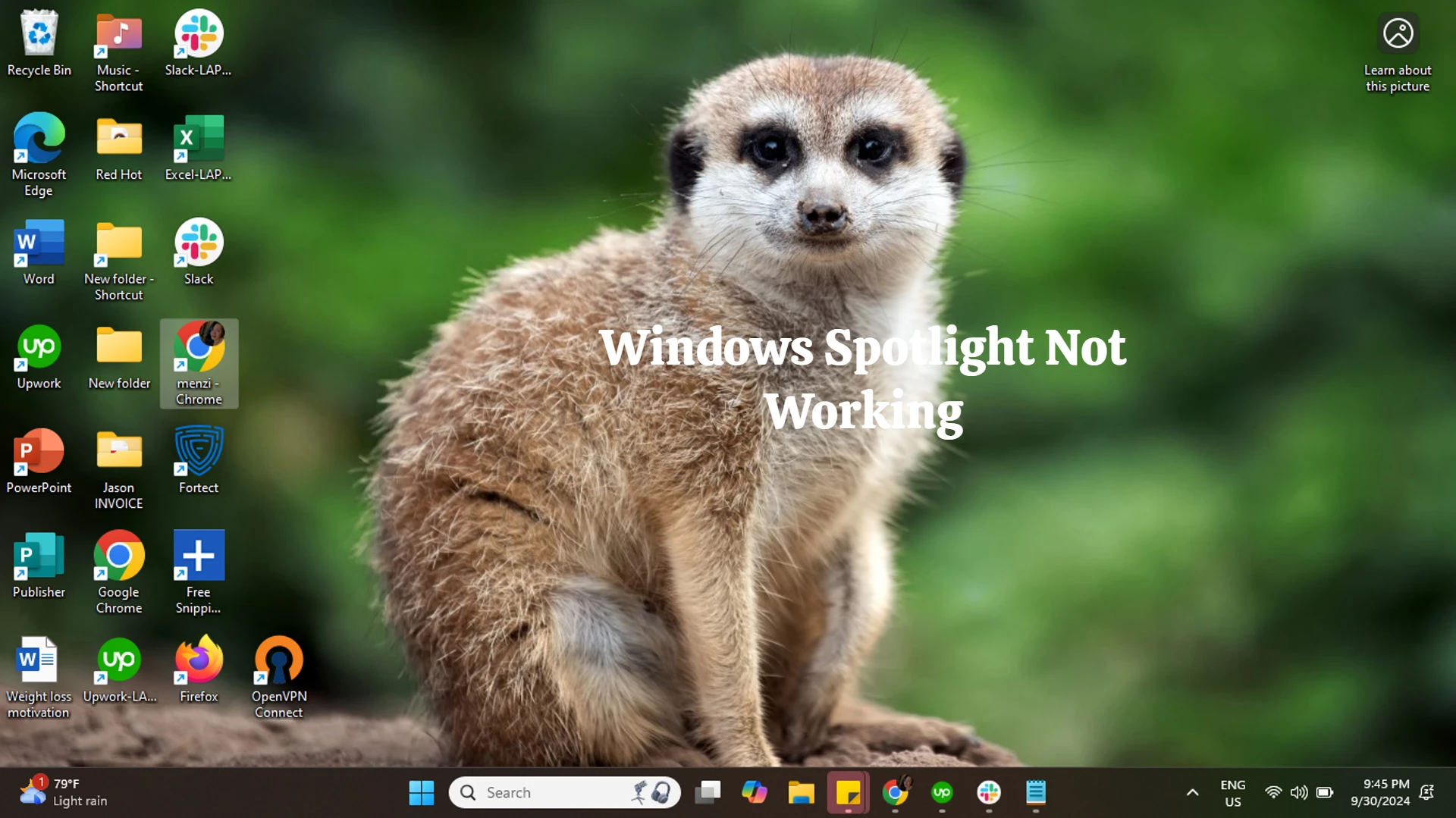 Windows Spotlight Not Working 8 Best Ways To Fix