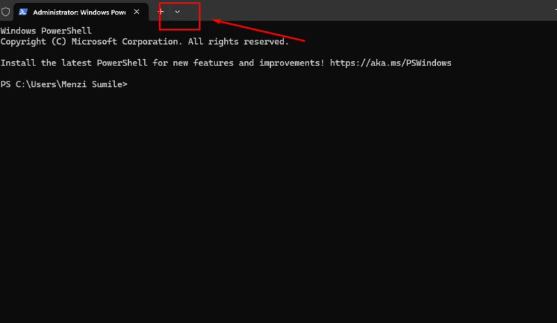 windows terminal profiles: Customize Windows 11 Terminal