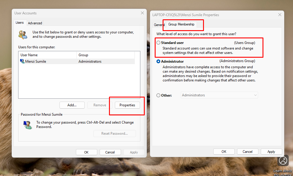 Restrict User Permissions: Fake Windows Updates