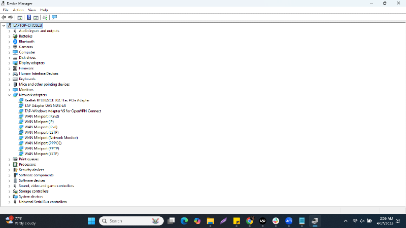 network adapters: no internet