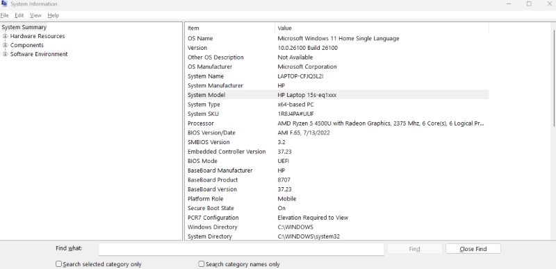 system info: Firmware-Level Attacks
